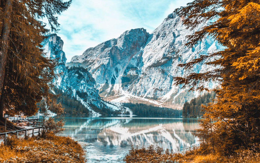 Blanco como la nieve