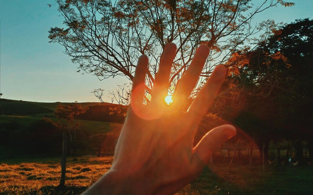 Was Jesus God or Man?