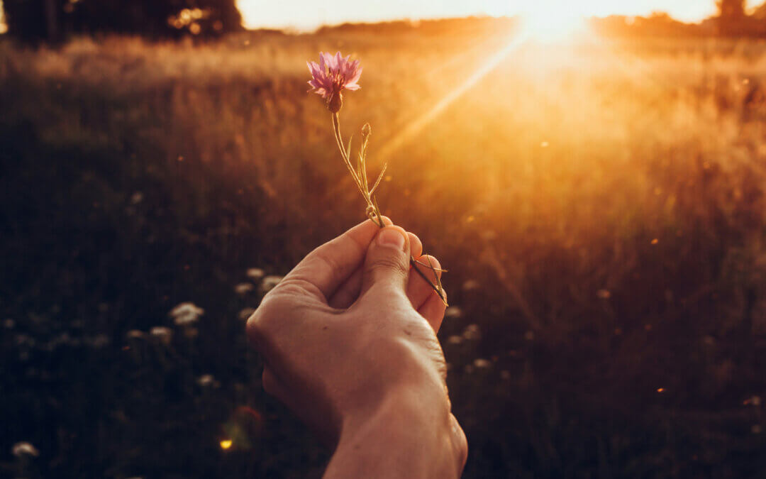 Le premier rayon de soleil
