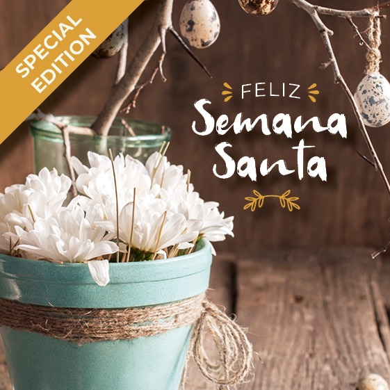 Banner Web PT ES