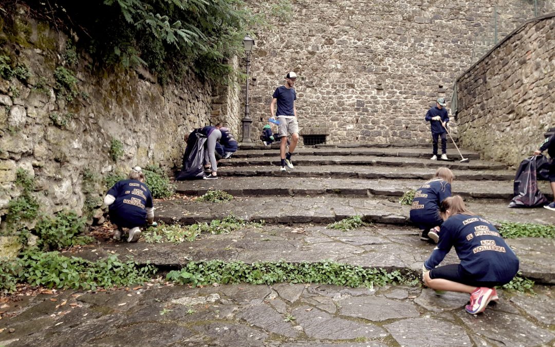 Attività di pulizia